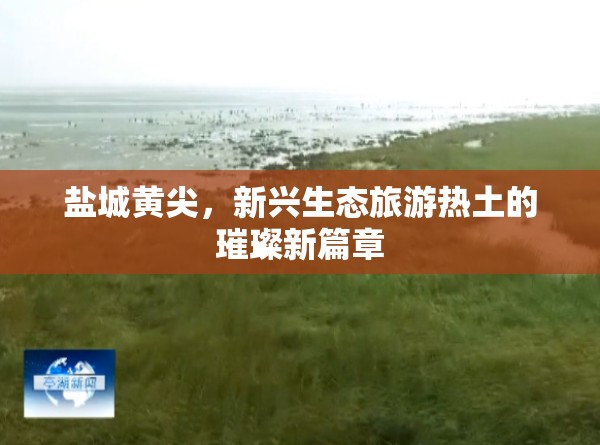 鹽城黃尖，新興生態(tài)旅游熱土的璀璨新篇章