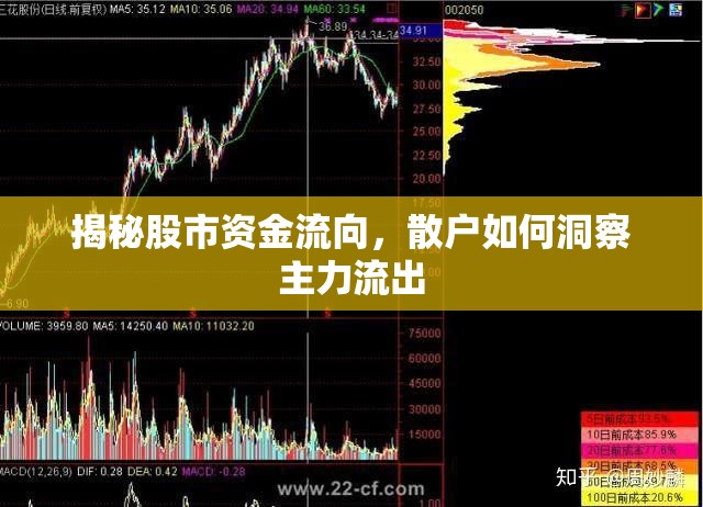 揭秘股市資金流向，散戶如何洞察主力流出
