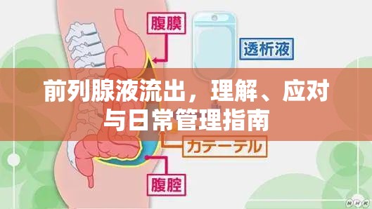 前列腺液流出，理解、應(yīng)對(duì)與日常管理指南
