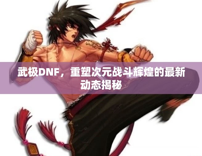 武極DNF，重塑次元戰(zhàn)斗輝煌的最新動(dòng)態(tài)揭秘