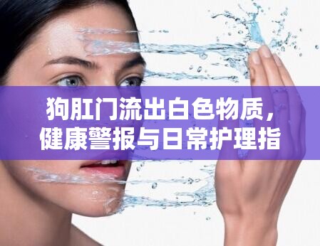 狗肛門流出白色物質(zhì)，健康警報與日常護(hù)理指南