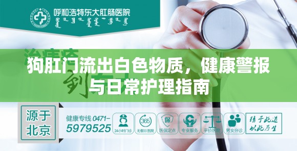 狗肛門流出白色物質(zhì)，健康警報與日常護(hù)理指南