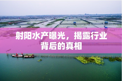 射陽水產(chǎn)曝光，揭露行業(yè)背后的真相