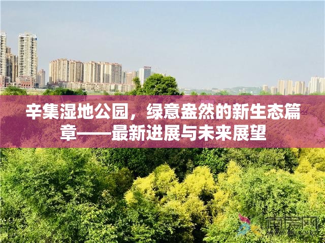 辛集濕地公園，綠意盎然的新生態(tài)篇章——最新進(jìn)展與未來展望