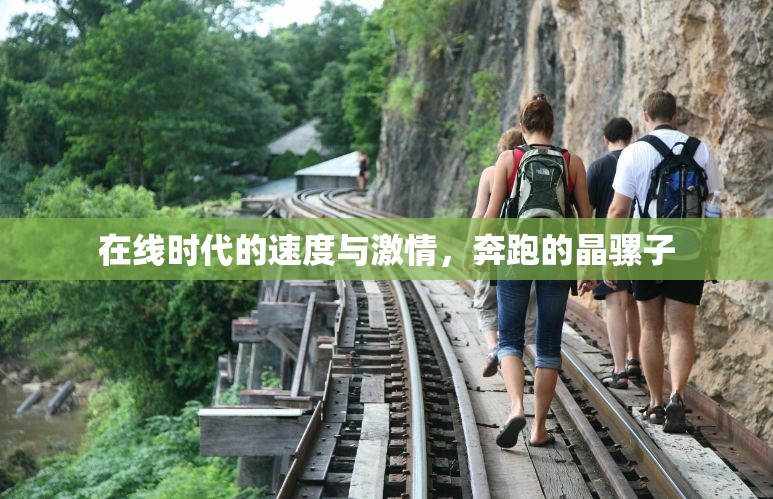 在線時(shí)代的速度與激情，奔跑的晶騾子