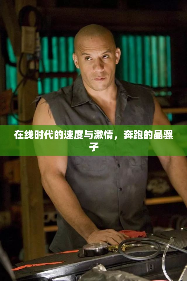 在線時(shí)代的速度與激情，奔跑的晶騾子