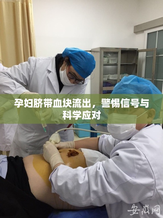 孕婦臍帶血塊流出，警惕信號與科學(xué)應(yīng)對