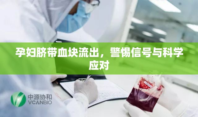 孕婦臍帶血塊流出，警惕信號與科學(xué)應(yīng)對
