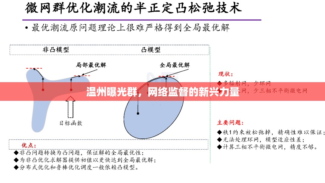 溫州曝光群，網(wǎng)絡(luò)監(jiān)督的新興力量