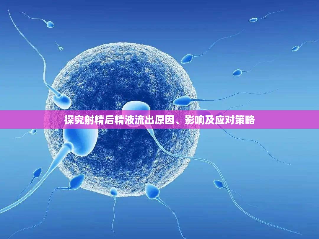 探究射精后精液流出原因、影響及應(yīng)對策略