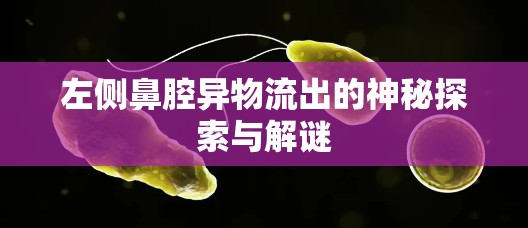 左側(cè)鼻腔異物流出的神秘探索與解謎