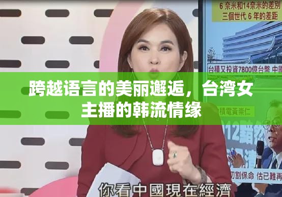 跨越語(yǔ)言的美麗邂逅，臺(tái)灣女主播的韓流情緣
