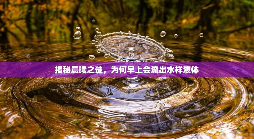 揭秘晨曦之謎，為何早上會流出水樣液體