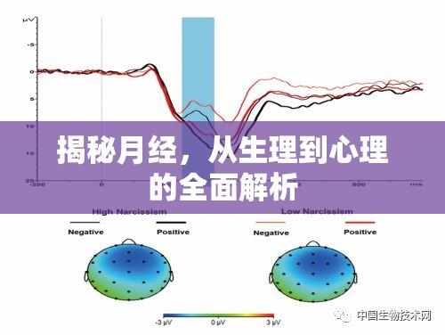 揭秘月經(jīng)，從生理到心理的全面解析