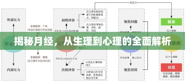 揭秘月經(jīng)，從生理到心理的全面解析