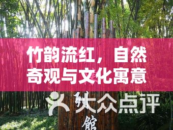 竹韻流紅，自然奇觀與文化寓意的深度探索