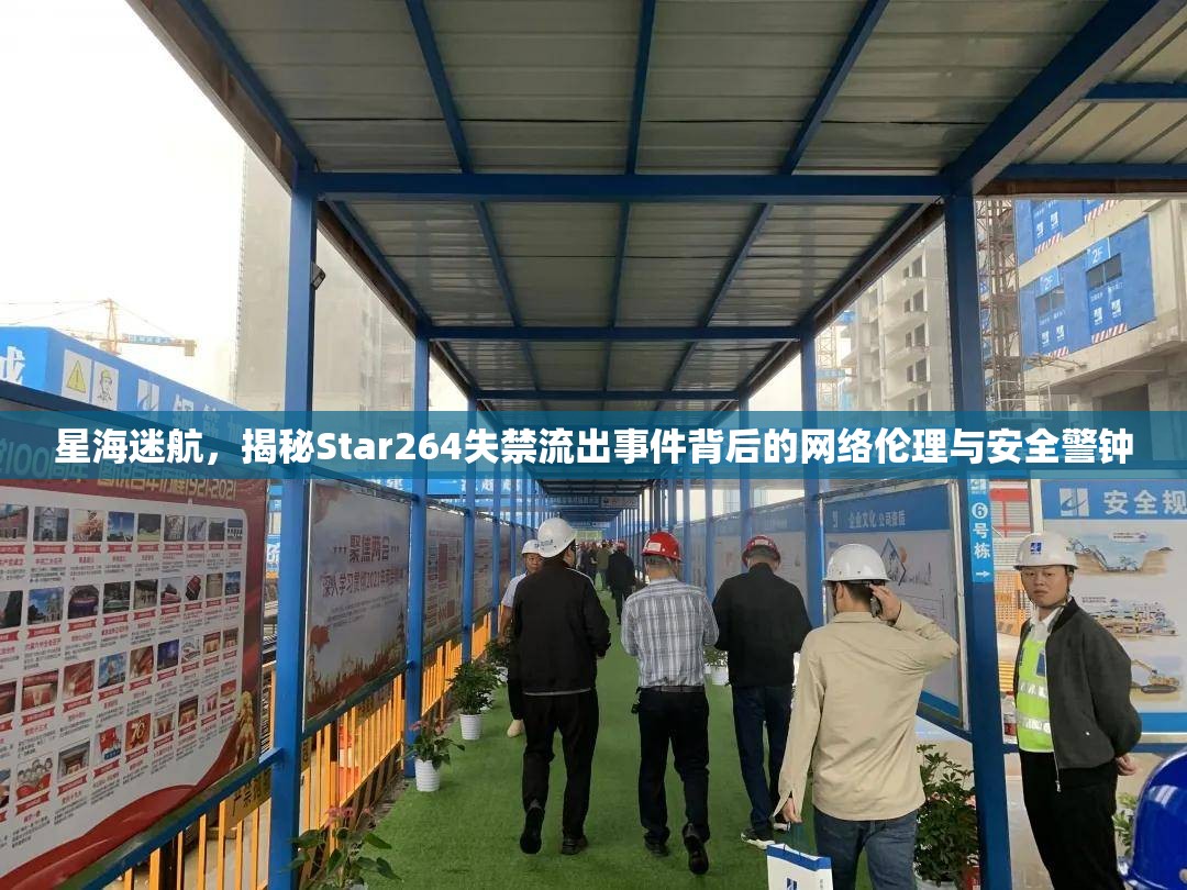 星海迷航，揭秘Star264失禁流出事件背后的網(wǎng)絡(luò)倫理與安全警鐘