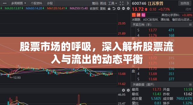 股票市場的呼吸，深入解析股票流入與流出的動態(tài)平衡