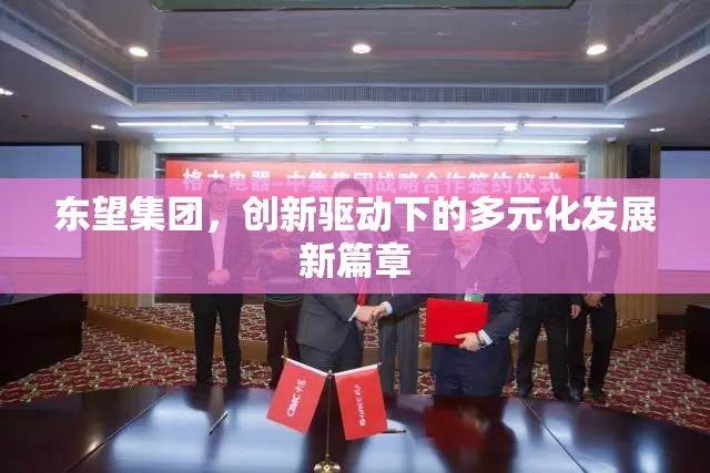 東望集團(tuán)，創(chuàng)新驅(qū)動下的多元化發(fā)展新篇章