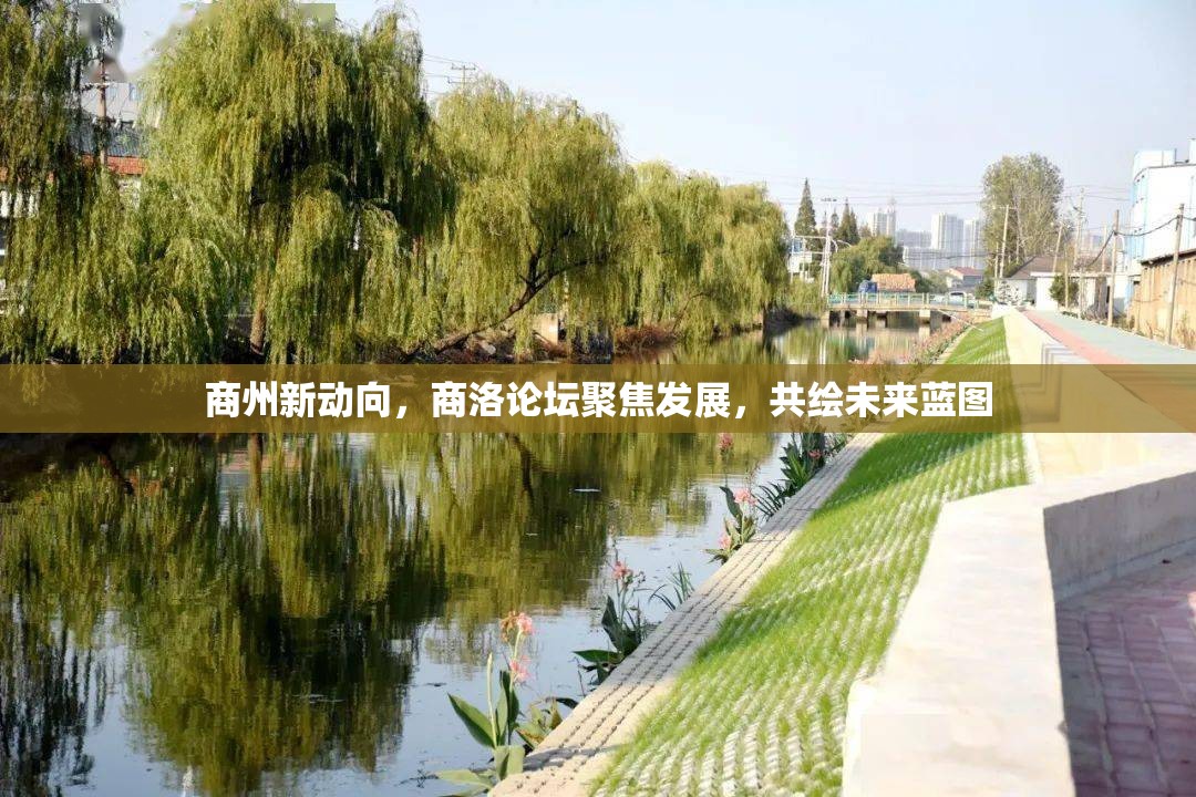 商州新動向，商洛論壇聚焦發(fā)展，共繪未來藍圖