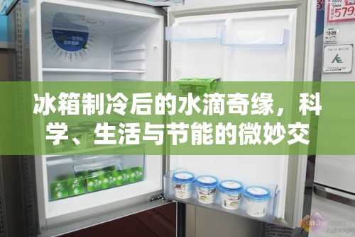 冰箱制冷后的水滴奇緣，科學(xué)、生活與節(jié)能的微妙交響