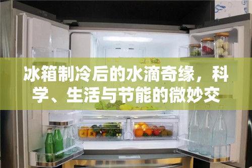 冰箱制冷后的水滴奇緣，科學(xué)、生活與節(jié)能的微妙交響