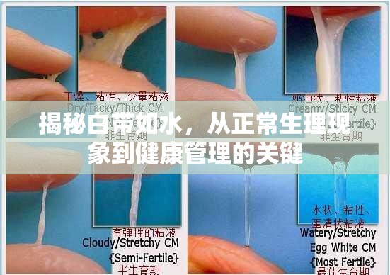 揭秘白帶如水，從正常生理現(xiàn)象到健康管理的關(guān)鍵