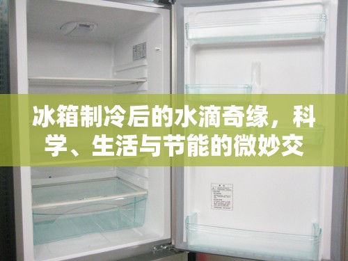 冰箱制冷后的水滴奇緣，科學(xué)、生活與節(jié)能的微妙交響