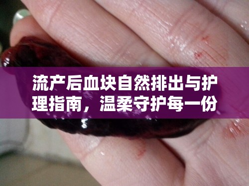 流產(chǎn)后血塊自然排出與護(hù)理指南，溫柔守護(hù)每一份健康