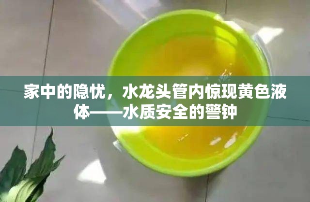 家中的隱憂，水龍頭管內(nèi)驚現(xiàn)黃色液體——水質(zhì)安全的警鐘