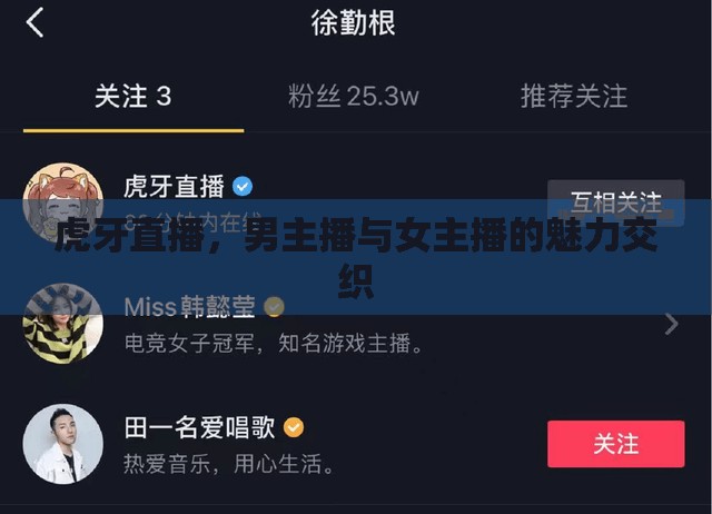 虎牙直播，男主播與女主播的魅力交織