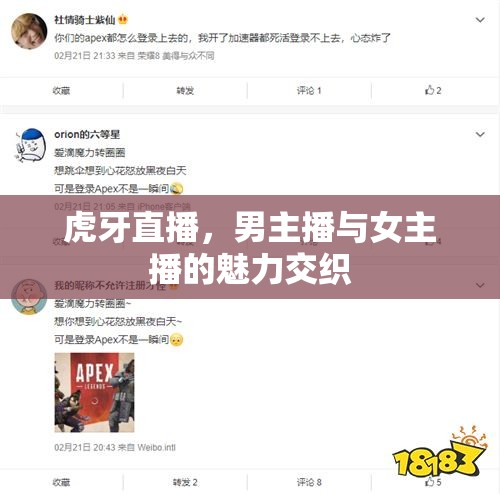 虎牙直播，男主播與女主播的魅力交織