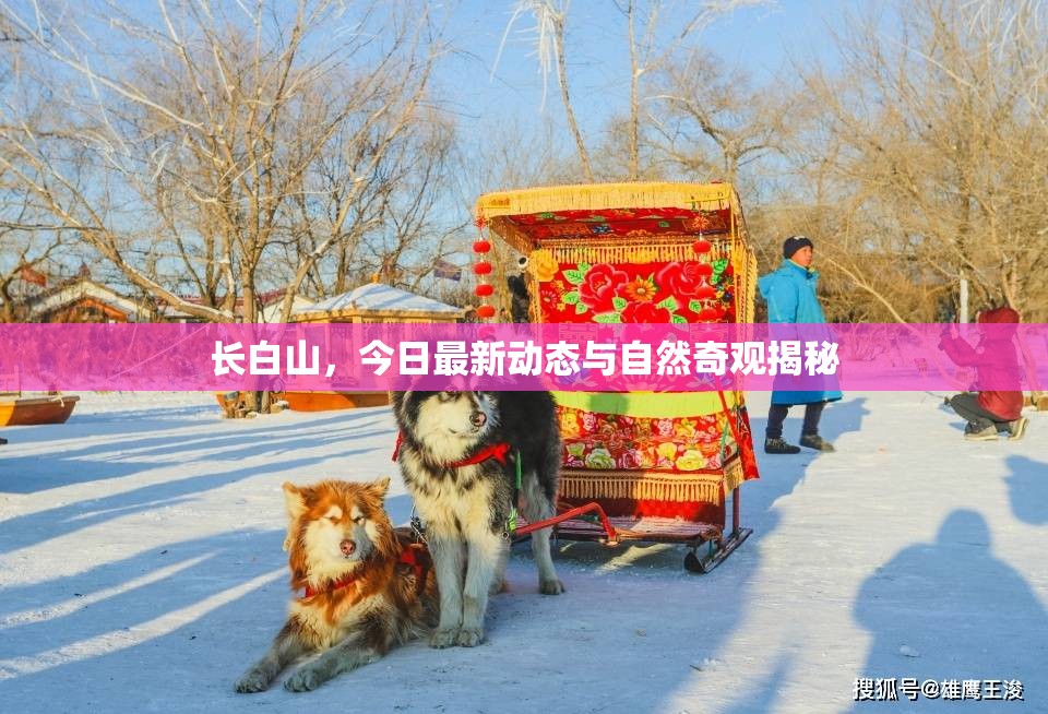長白山，今日最新動態(tài)與自然奇觀揭秘