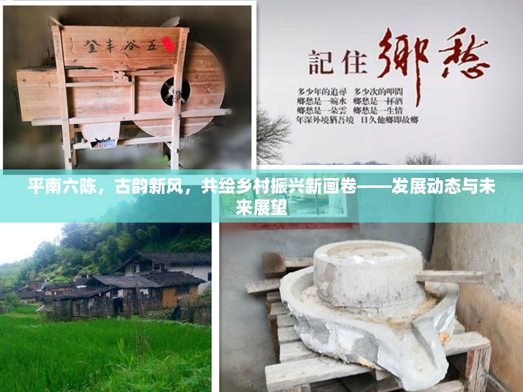 平南六陳，古韻新風(fēng)，共繪鄉(xiāng)村振興新畫卷——發(fā)展動態(tài)與未來展望