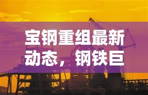 寶鋼重組最新動態(tài)，鋼鐵巨頭的戰(zhàn)略調(diào)整與市場影響