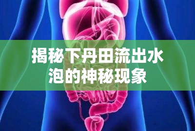 揭秘下丹田流出水泡的神秘現(xiàn)象