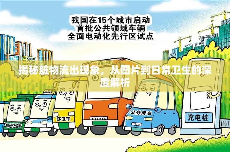 揭秘臟物流出現(xiàn)象，從圖片到日常衛(wèi)生的深度解析