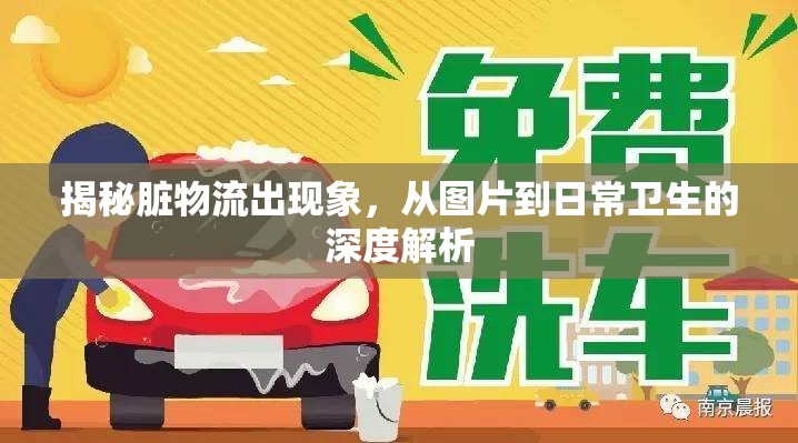 揭秘臟物流出現(xiàn)象，從圖片到日常衛(wèi)生的深度解析