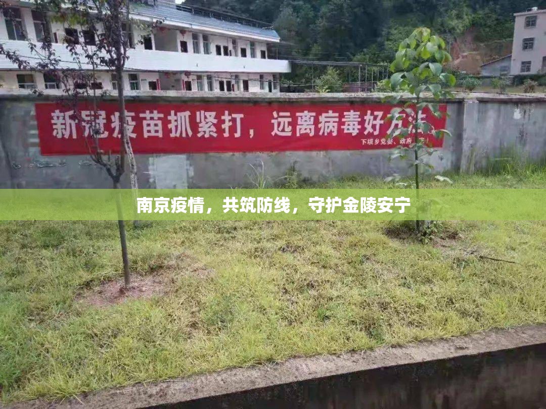 南京疫情，共筑防線，守護(hù)金陵安寧