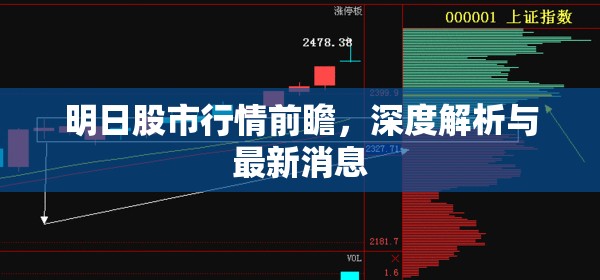 明日股市行情前瞻，深度解析與最新消息