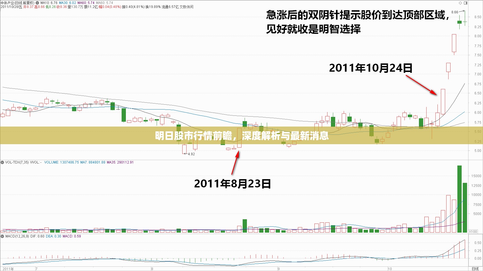 明日股市行情前瞻，深度解析與最新消息