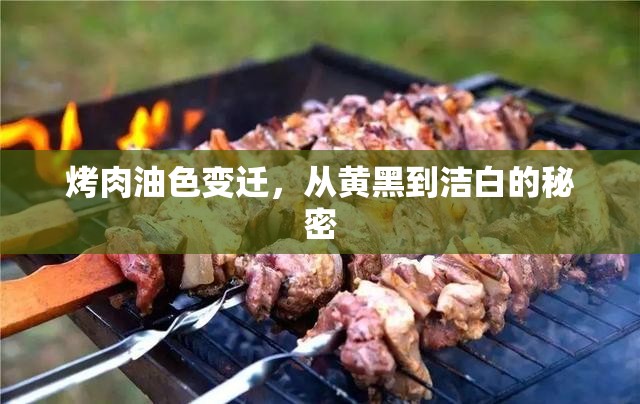 烤肉油色變遷，從黃黑到潔白的秘密