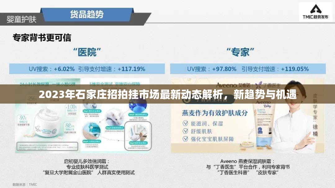 2023年石家莊招拍掛市場最新動態(tài)解析，新趨勢與機(jī)遇