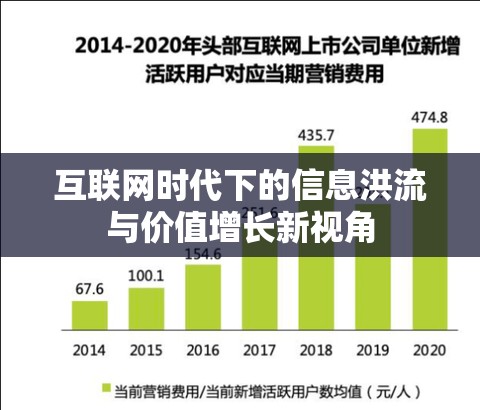 互聯(lián)網(wǎng)時代下的信息洪流與價值增長新視角