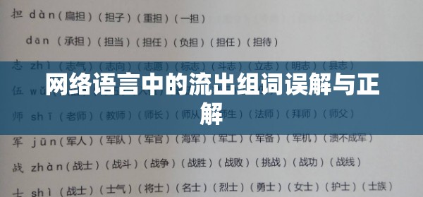 網(wǎng)絡(luò)語(yǔ)言中的流出組詞誤解與正解