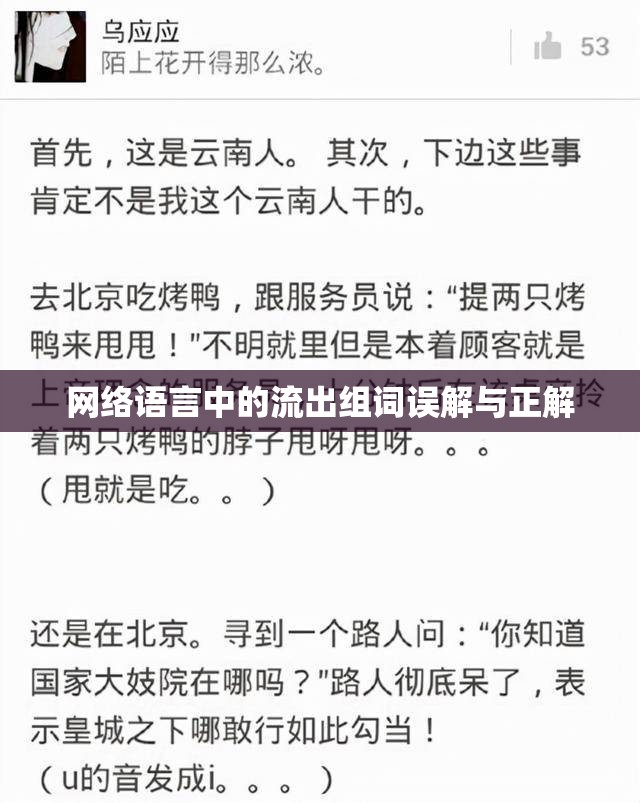 網(wǎng)絡(luò)語(yǔ)言中的流出組詞誤解與正解