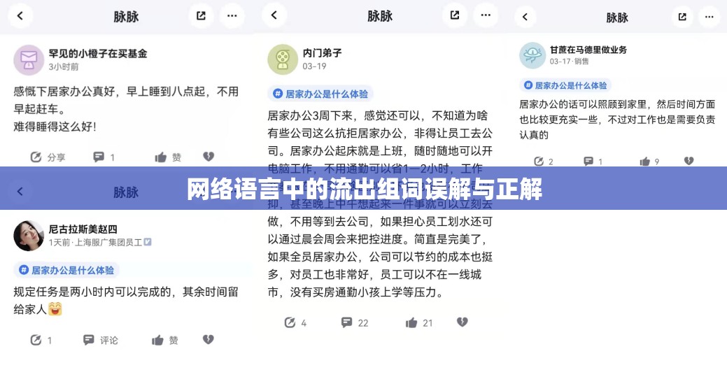 網(wǎng)絡(luò)語(yǔ)言中的流出組詞誤解與正解