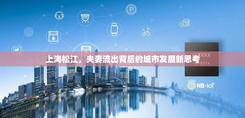 上海松江，夫妻流出背后的城市發(fā)展新思考
