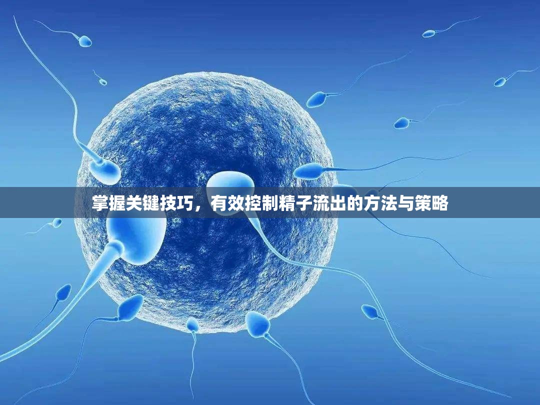 掌握關(guān)鍵技巧，有效控制精子流出的方法與策略