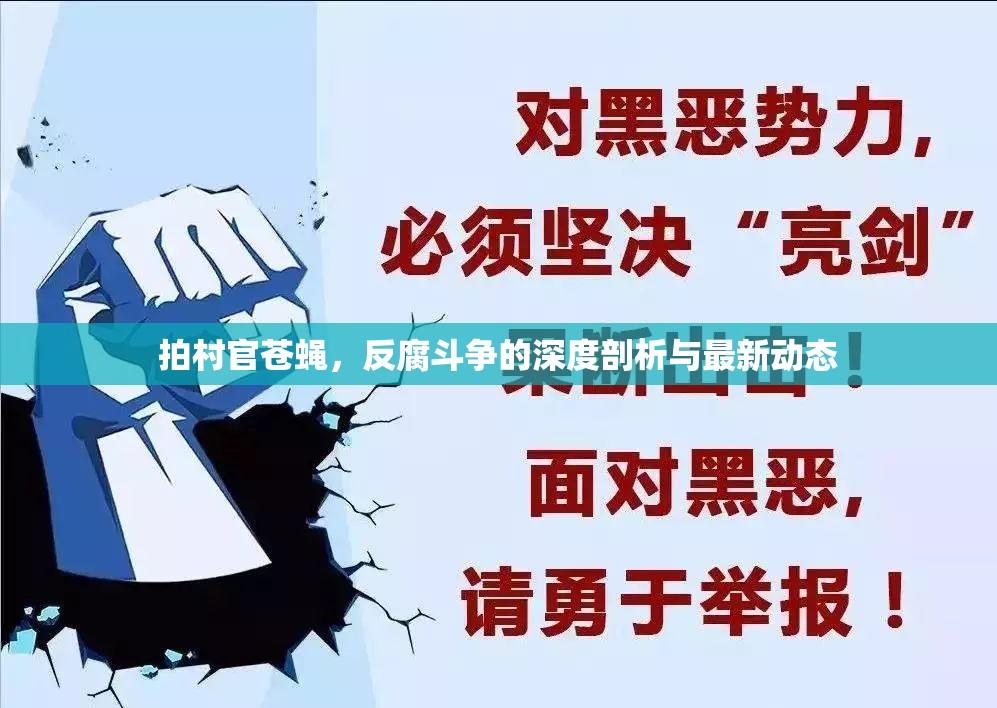 拍村官蒼蠅，反腐斗爭的深度剖析與最新動態(tài)